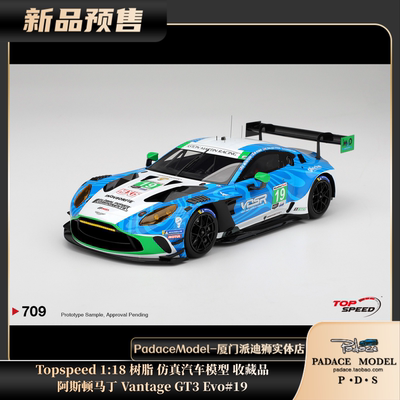阿斯顿马丁VantageGT3Evo#19
