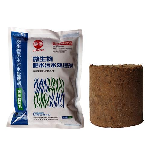 微水池臭水粪养化理池设化备除生发污处物殖理种污菌场粪水处酵净