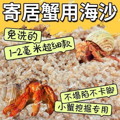 寄居蟹专用海沙沙蟹饲养沙