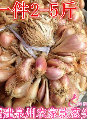 闽南葱头做菜作料福建农家葱头