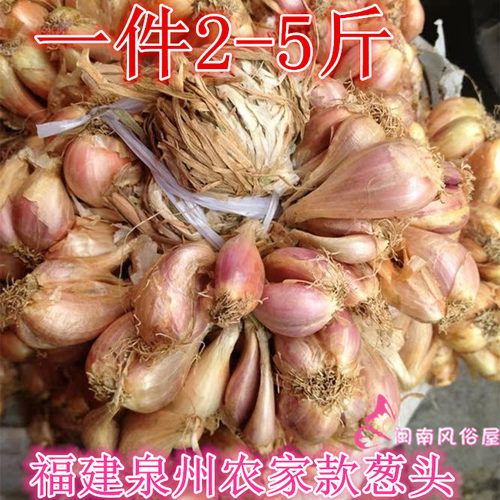 闽南葱头做菜作料福建农家葱头