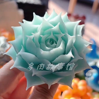 多肉植物蓝丝绒拉古皱叶