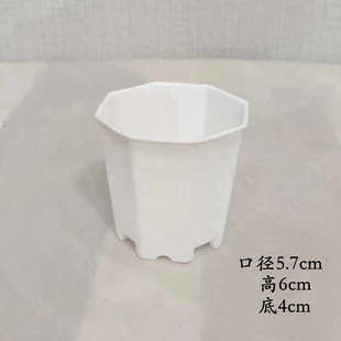 4.5 6.8厘米八角盆生石花多肉穴盘苗花盆加厚7厘米迷你小花盆 5.8