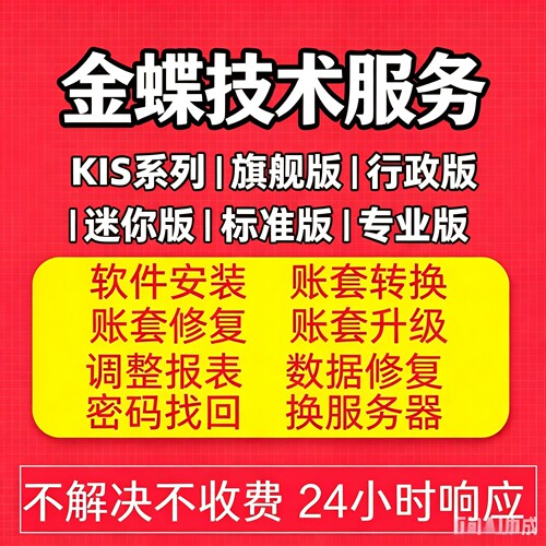金蝶售后技术远程服务安装软件
