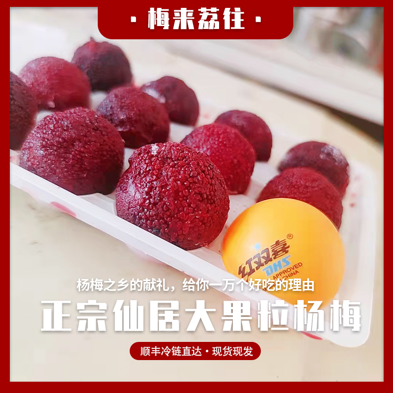 京德福真空12粒/板新鲜速冻东魁冰杨梅孕妇水果零食整箱顺丰包邮