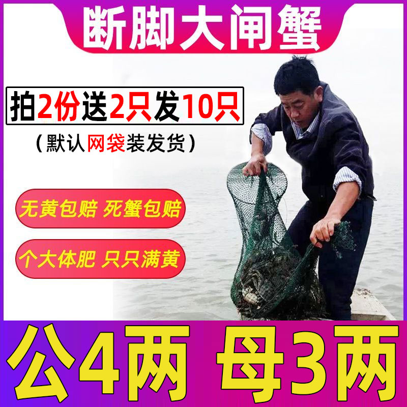 4只/份固城湖大闸蟹鲜活断脚