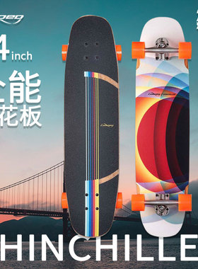 loaded新款滑板长板刷街代步专业长板做动作男女生全能大体重可用