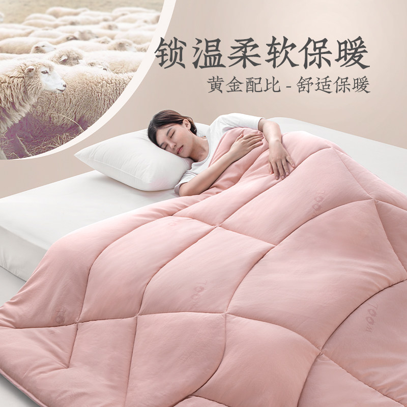 YUANMENG 호주 양모 퀼트 더블 코어 따뜻한 겨울 퀼트 두꺼운 따뜻한 캐시미어 퀼트 싱글 및 더블 4 시즌 코튼 퀼트 코어