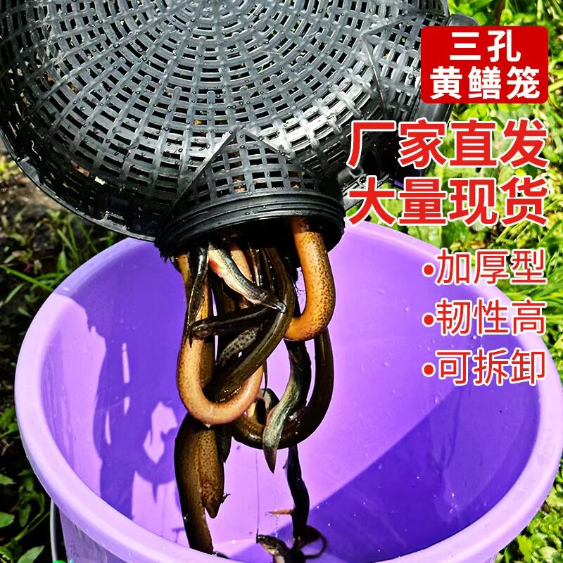 黄鳝笼捕鱼笼鳝鱼泥鳅笼虾笼抓鱼笼三孔虾笼捉鱼神器网笼花篮网