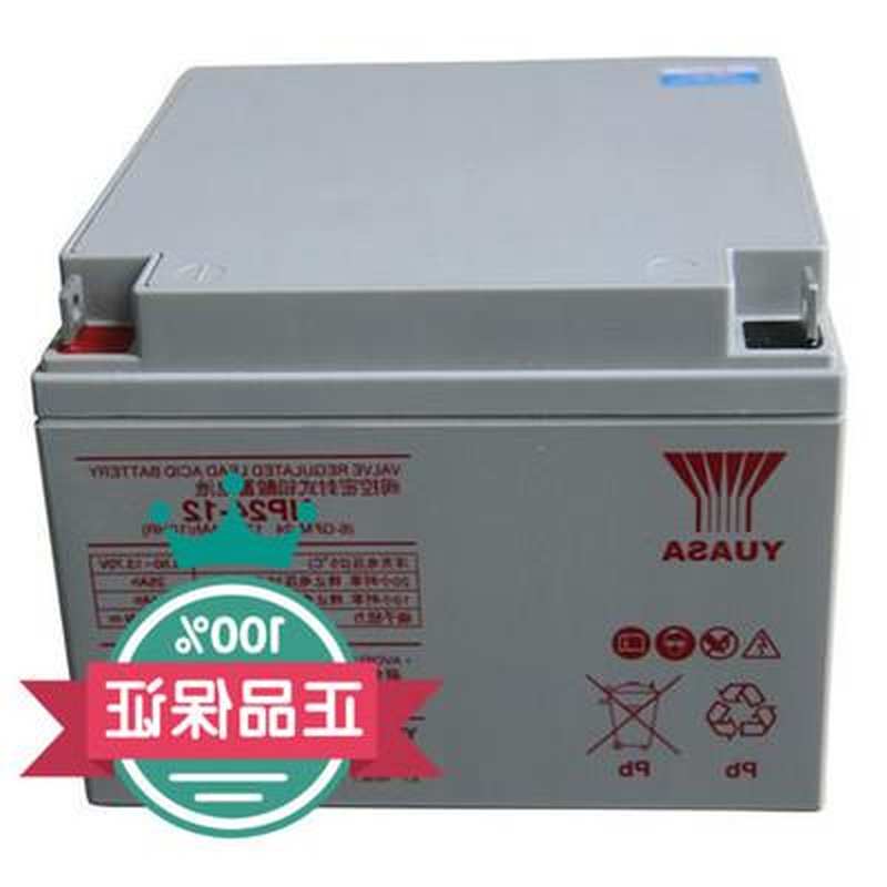 黑龙江哈尔滨汤浅NP24-12蓄电池12v24ah特价供应 UPS应急电源