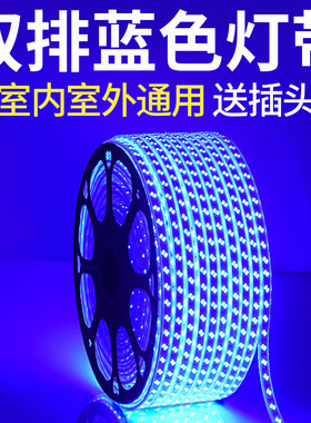 LED蓝光灯带条220V蓝色灯条超高亮天花吊顶KTV招牌灯箱装饰长条灯