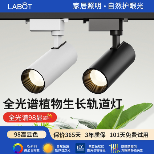 绿植景观植物补光灯led防太阳光