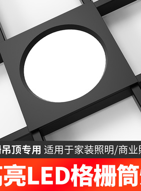 led格栅灯15x15铝网格吊顶双头10*20黑色葡萄架专用方形筒灯射灯