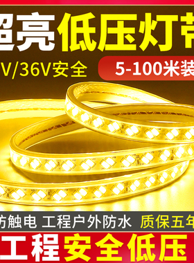 24v低压防水灯带led超亮工程工地塔吊隧道养殖户外照明36V灯条长