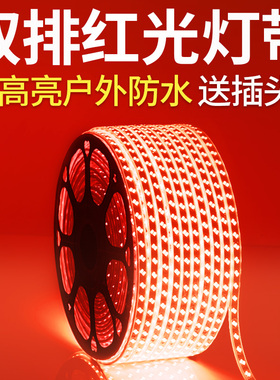 LED红色灯带户外防水灯带条220V红光节日喜庆外墙KTV装饰线灯灯条