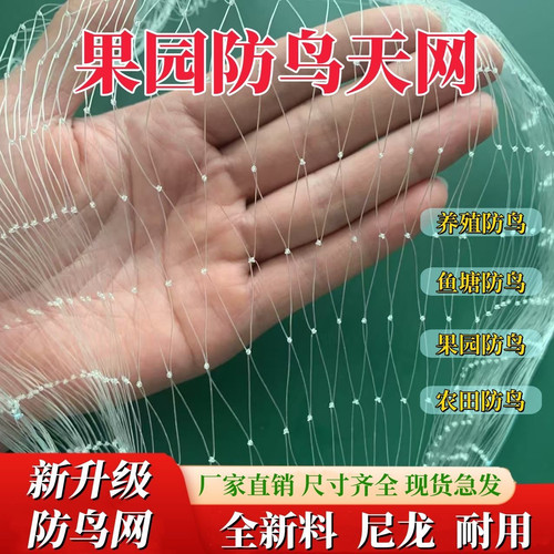 防鸟专用网果园鱼塘防护网尼龙网