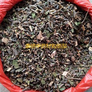 广寄生 500克 桑 寄 生 寄生茶 杜仲茶 搭 配 泡 茶