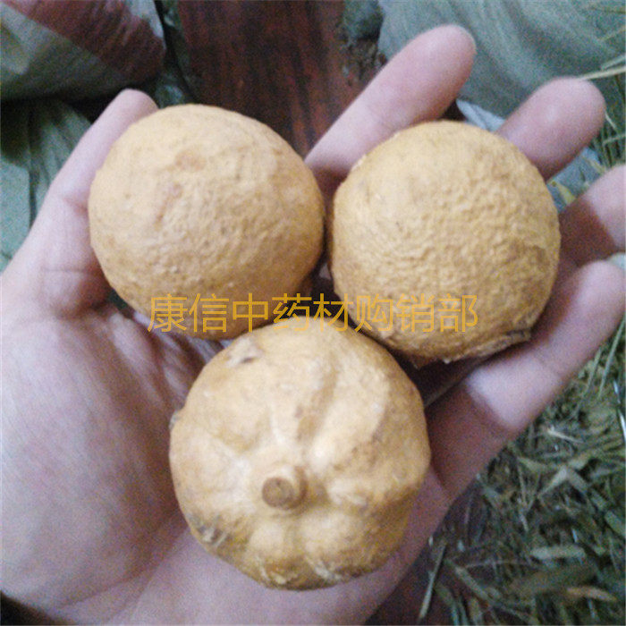 屈头鸡   泡 酒 树屈 头 鸡 水鸡头 水鸡仔 500克