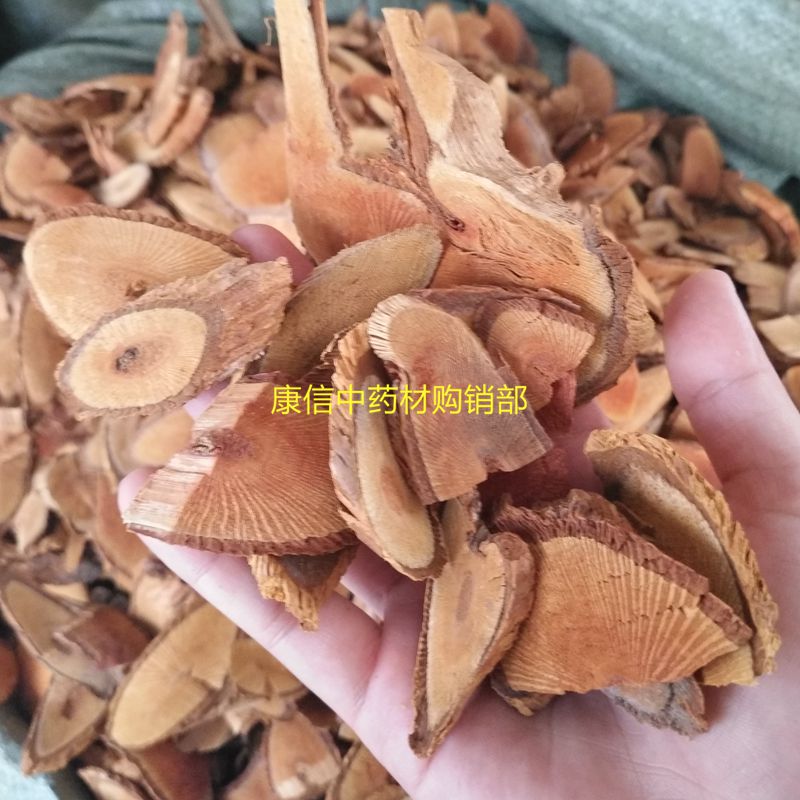 去 湿 王 500g 钻地风 桐叶藤 利筋藤