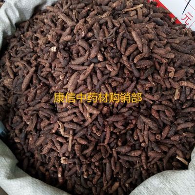 香附子香附子雀头香中药材