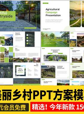 美丽乡村旅游振兴项目建设方案汇报计划书绿色生态新农村PPT模板