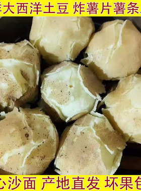 甘肃沙面土豆蒸煮开花正宗大西洋洋芋白心沙瓤马铃薯高淀粉农家菜