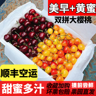 山东水晶樱桃5新鲜孕妇水果车厘子 烟台黄蜜美早双拼大樱桃3斤