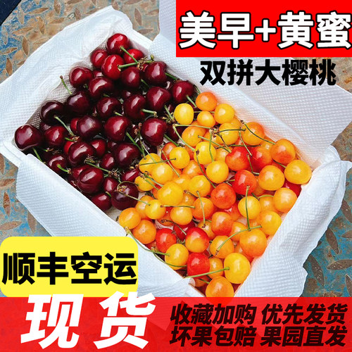 现货烟台黄蜜美早双拼大樱桃3斤山东水晶樱桃5新鲜孕妇水果车厘子