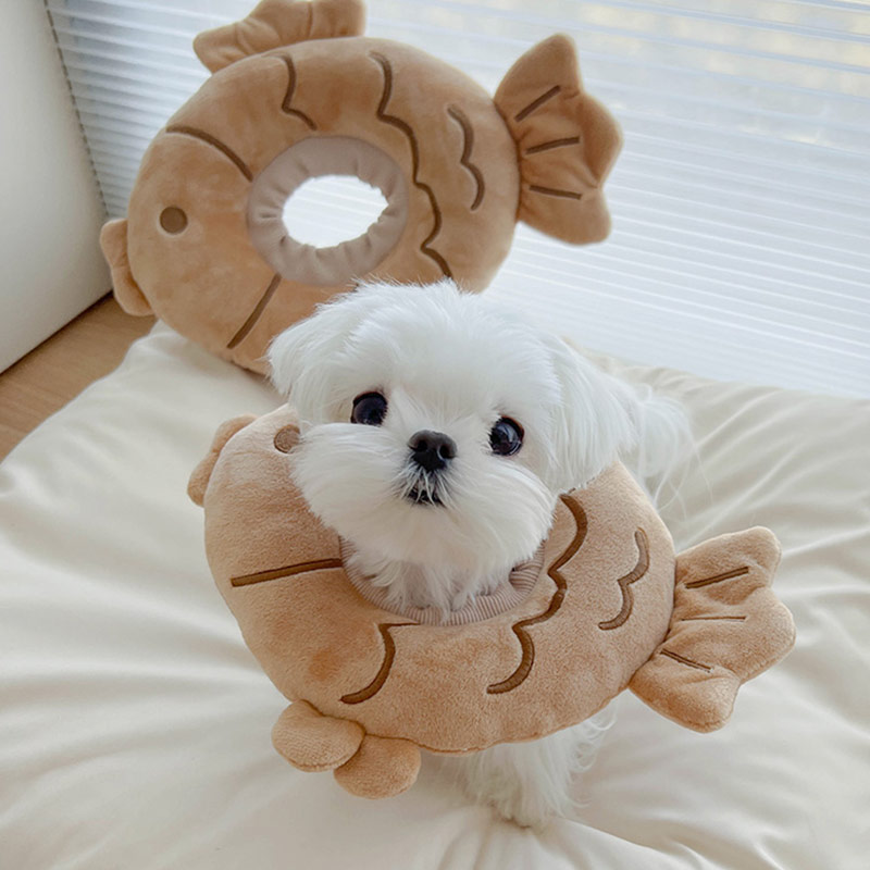 宠物伊丽莎白圈头套防舔羞耻圈鲷鱼烧猫小型犬狗狗可爱弟弟是大王