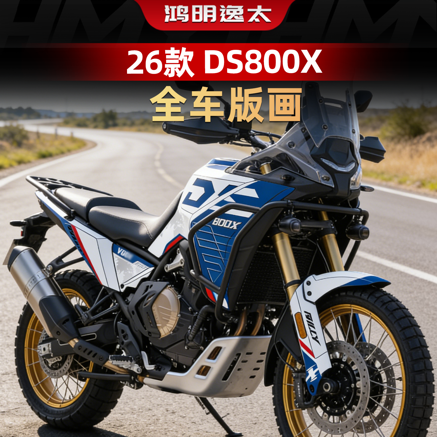DS800X改装配件全车版画装饰贴纸