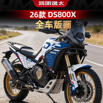 DS800X改装配件全车版画装饰贴纸
