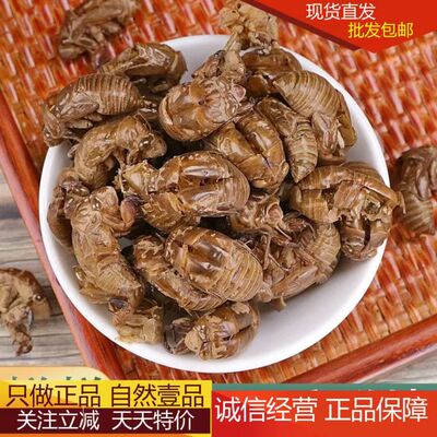 正品天然蝉蜕皮中药材官方旗舰知了壳店蝉蜕粉毛猴原料蝉脱蚕蜕