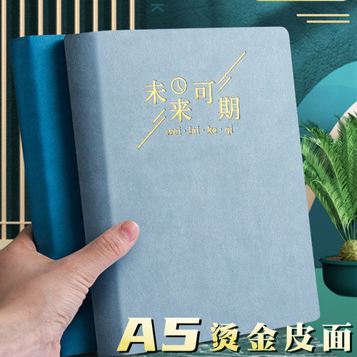 A5笔记本子厚本子软皮面2022年b5初中生专用记录工作日记本成人a4