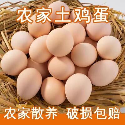 农家散养土鸡蛋现捡现发新鲜蛋草鸡蛋新鲜土鸡蛋