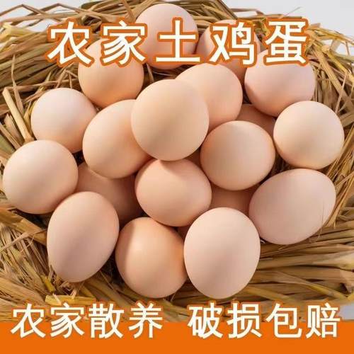 农家散养土鸡蛋现捡现发新鲜蛋草鸡蛋新鲜土鸡蛋