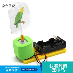 我看到的笼中鸟儿童学生物理科学实验DIY科技小制作模型教具材料