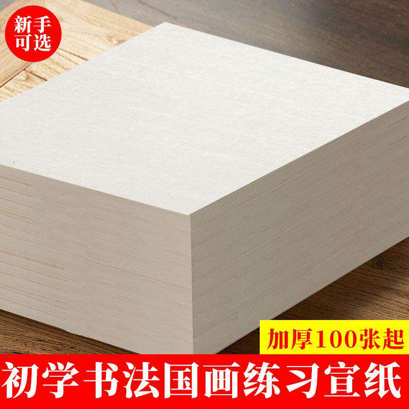 暖笺斋加厚书画宣纸初学者练习毛笔字纸半生半熟书法专用纸工笔画