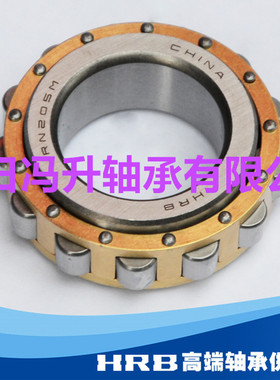偏心轴承RN205 206 307 309 312 219 222 228M圆柱滚子天马 轴承
