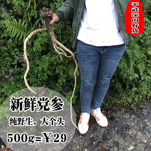 新鲜四川平武现挖纹大条