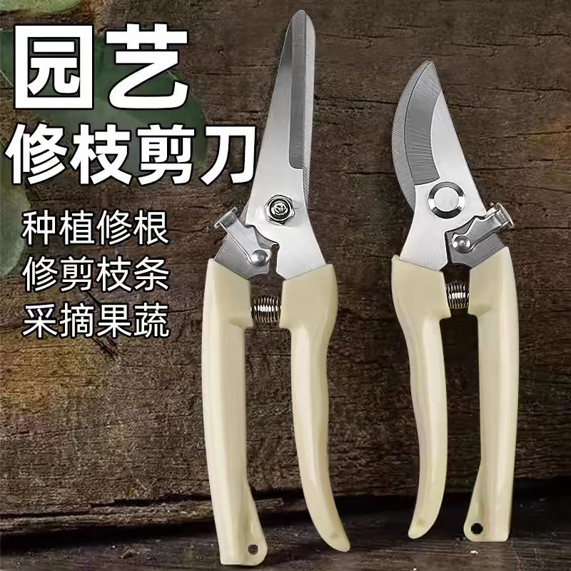 家用修花木果树嫁接园林剪备用弹簧钢粗枝剪省力修枝瓜果剪刀园艺