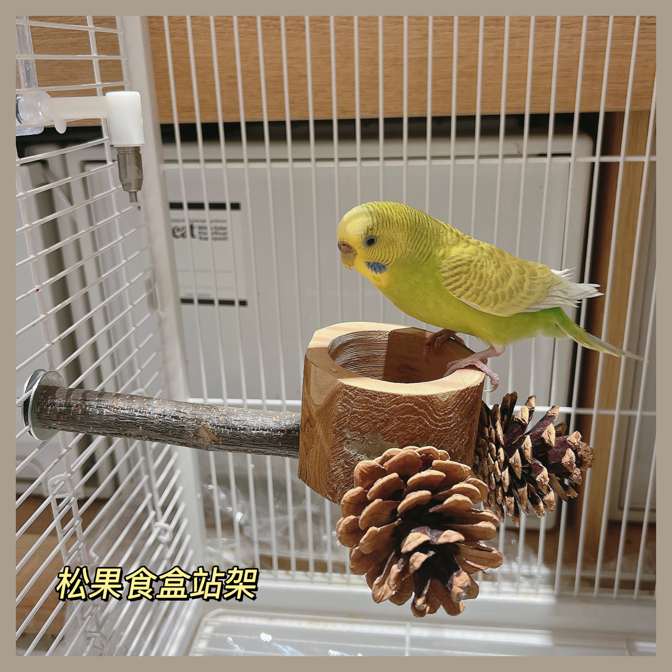 鹦鹉鸟天然苹果木松果站架食碗组合站立栖息磨嘴磨爪喂食牡丹虎皮