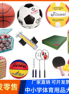 中小学生体育用品球类球拍