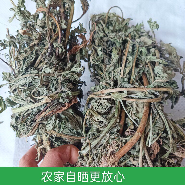 四川野生马鞭草马鞭梢铁马鞭马边草山上采摘自己晒的无熏硫500克