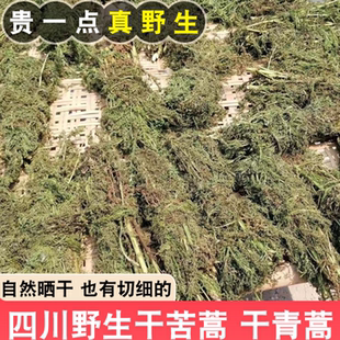 四川野生苦蒿黄花蒿青蒿自然晒干泡茶喝清热下火中草药药材苦蒿草