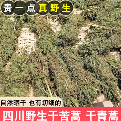 四川野生苦蒿黄花蒿青蒿自然晒干泡茶喝清热下火中草药药材苦蒿草