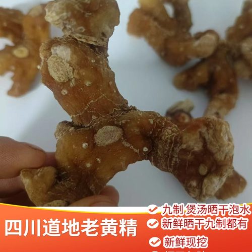 姜形黄精泡酒煲汤泡茶男性滋补