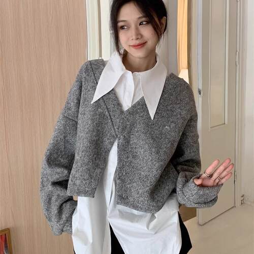 法式尖领加厚内搭白衬衫女秋冬大码上衣宽松设计感中长款加绒衬衣