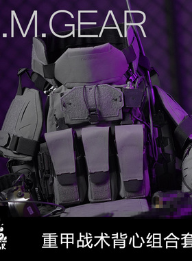 DMgear 重甲战术背心组合套装全套 防护molle多功能马甲 战术装备