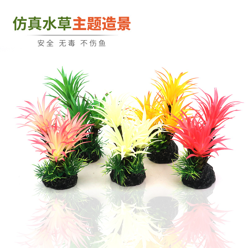 灵儿宠物造景/装饰多肉植物酒