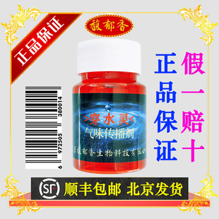 气味传播剂 多巴盐鱼安素金版圆梦实锤小药穿云鲫金顶药王多青环